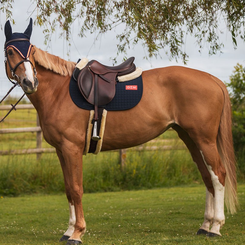 Tapis de selle Leo Marine GEM Gana Horse