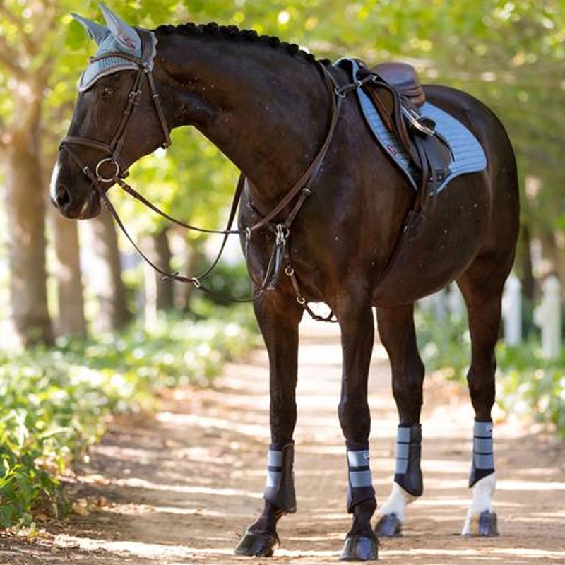 Guetres-souples-bleu-Le-mieux-gana horse